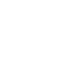SesiAI — Voice. Vision. Intelligence.